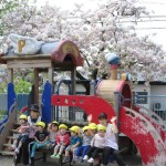 園庭の桜と汽車ぽっぽ かっこよくとれたかなぁ!